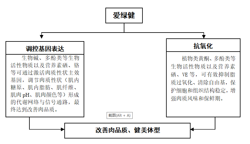 6115d4648a1e5