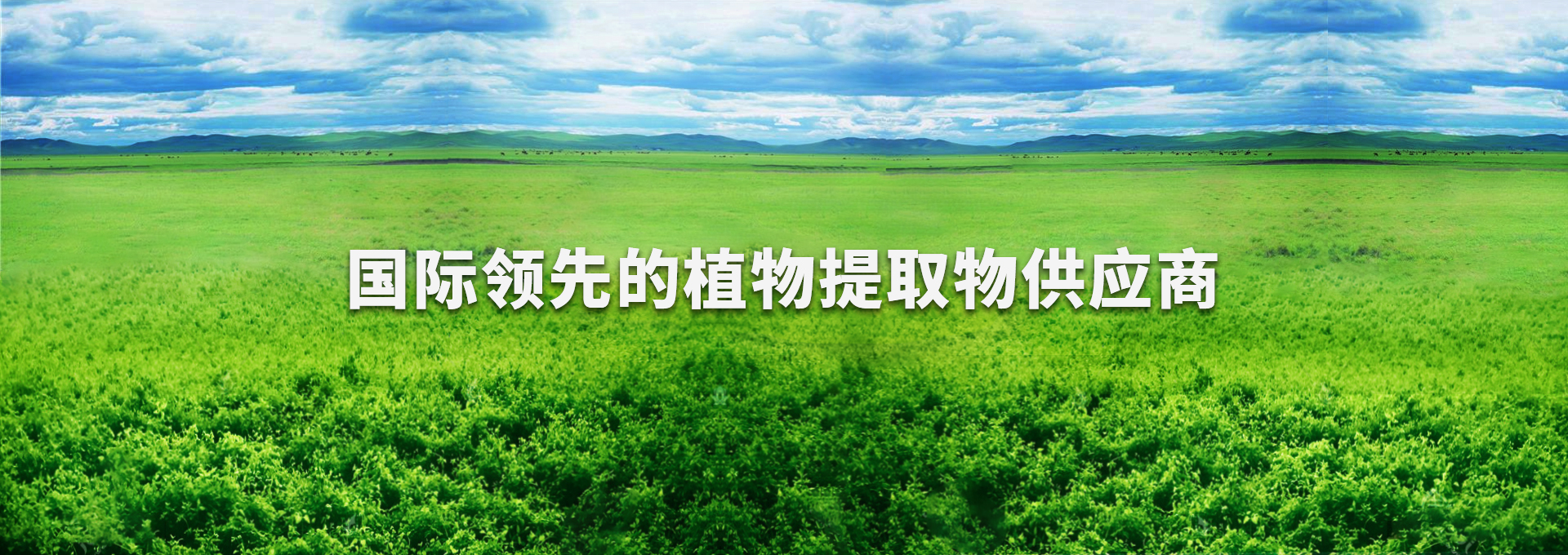 upay钱包 -轻松支付,安心选择