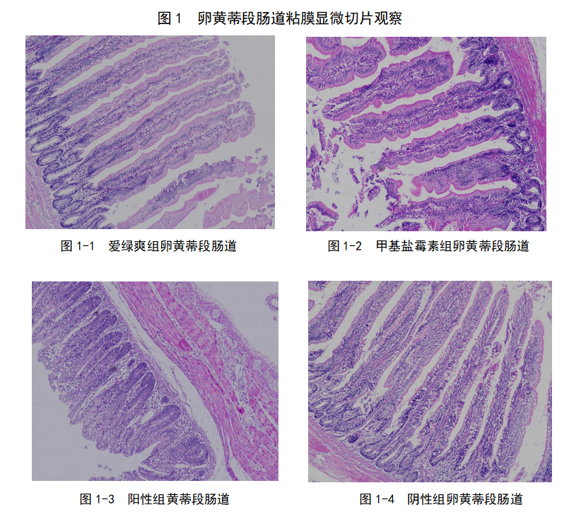 61dfcb293c655
