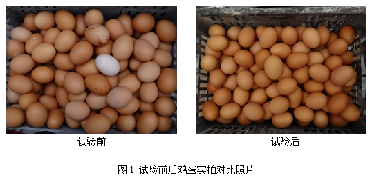 61e0d1088860a